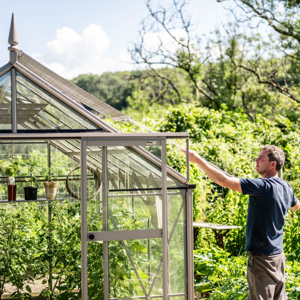A person adjusts the roof vent of a glass Rhino Greenhouse on a sunny day, surrounded by lush greenery. Inside, various potted plants are visible.