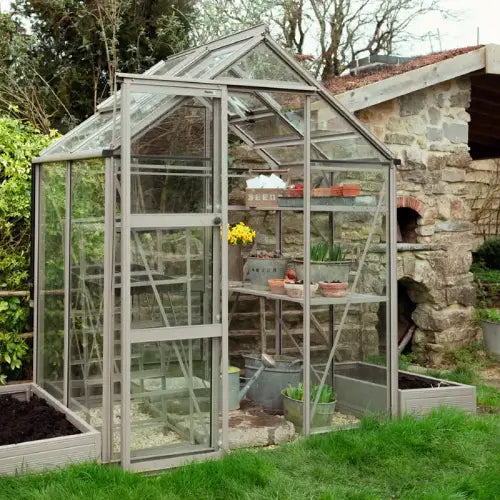A glass Rhino Greenhouse stands in a garden, filled with potted plants and gardening tools, adjacent to a stone wall and lush greenery, under a clear sky.