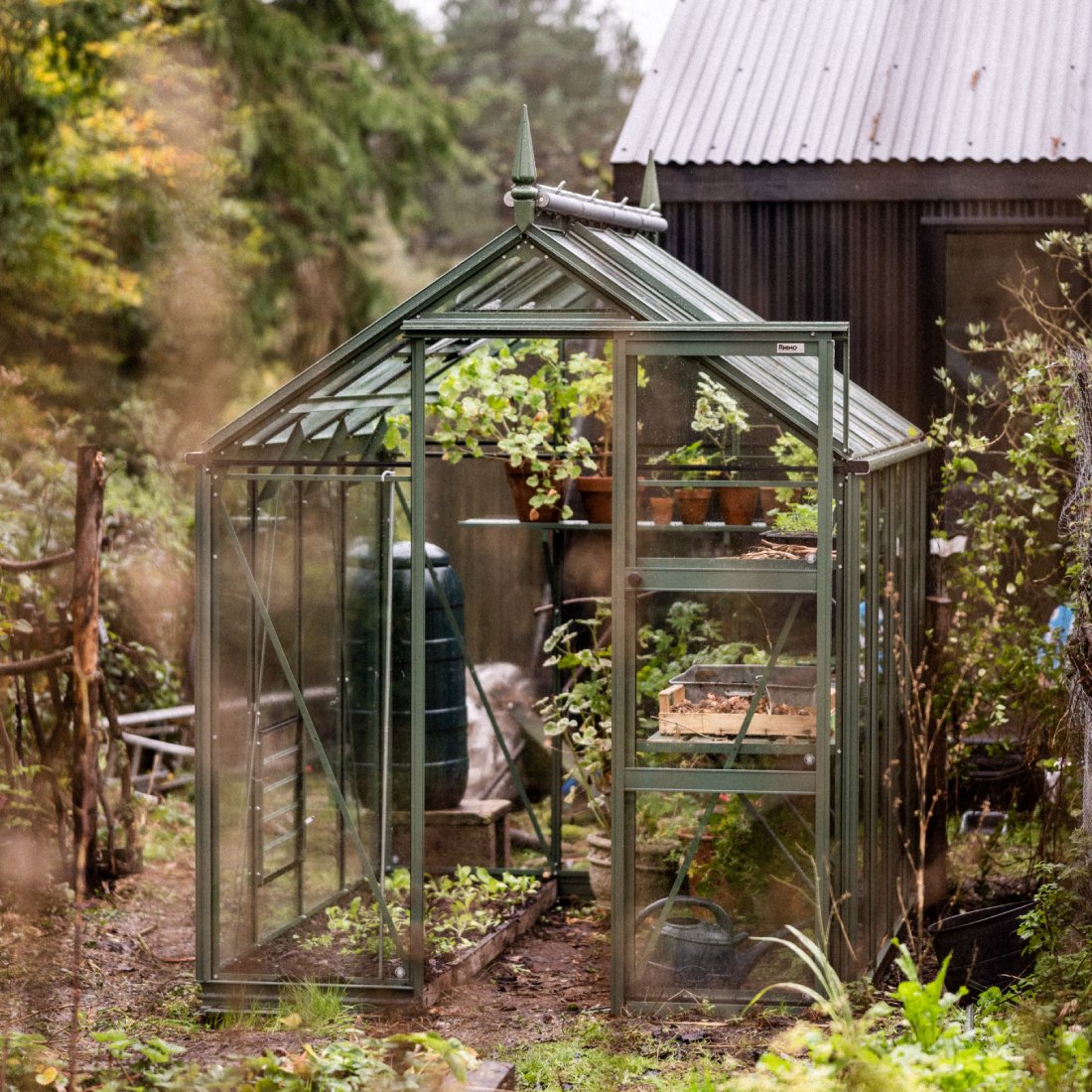 Rhino Greenhouse stands amidst lush greenery; inside, potted plants rest on shelves. A water barrel is visible, surrounded by trees. Text on the Rhino Rhino Greenhouse reads Rhino.