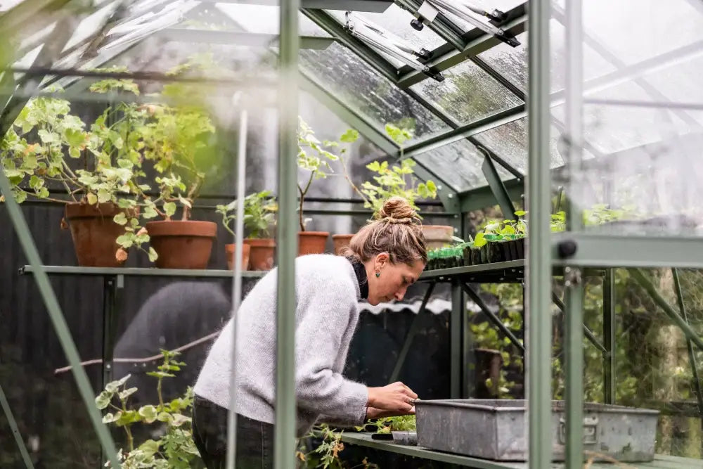 Woman tends to plants in a Rhino Greenhouse. She's surrounded by potted greenery, working with her hands over a metal tray. Sunlight filters through the glass structure, creating a serene atmosphere.
