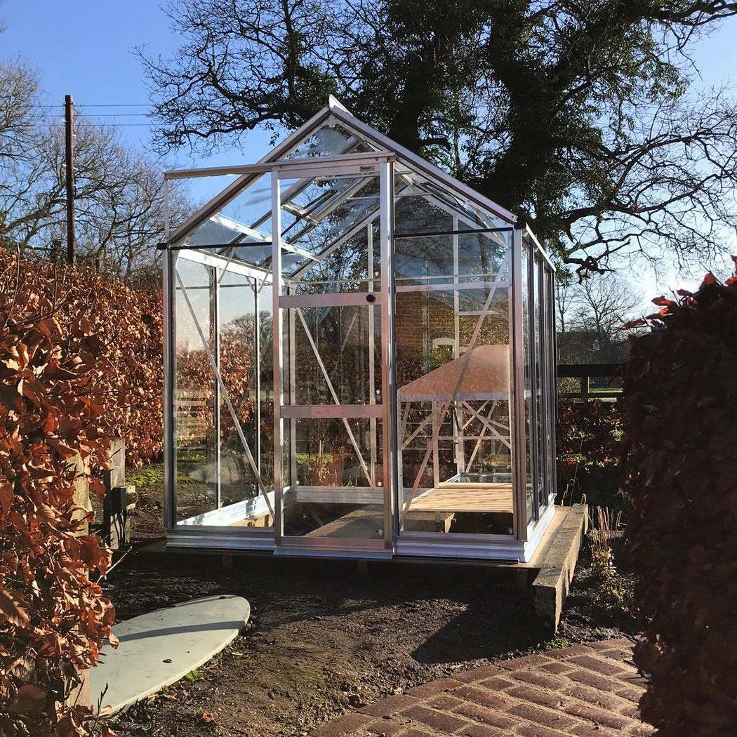 A glass and metal Rhino Greenhouse stands on a paved patio surrounded by dry hedges, under a clear sky with tall trees in the background.