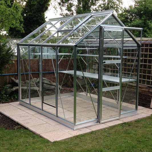 A glass Rhino Greenhouse stands on a stone patio, featuring metal framing and shelves. It is situated in a garden surrounded by trees and a wooden fence.
