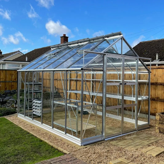 A glass and metal Rhino Greenhouse stands on a gravel path, equipped with shelves, amidst a residential backyard with neighboring houses and a wooden fence under a clear blue sky.