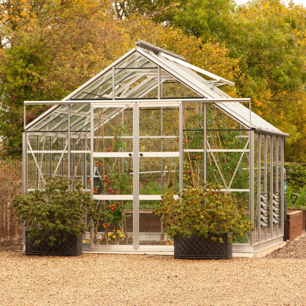 A glass Rhino Greenhouse filled with plants, including climbing tomatoes, stands on a gravel path. It is surrounded by autumn foliage and features two planter boxes nearby.