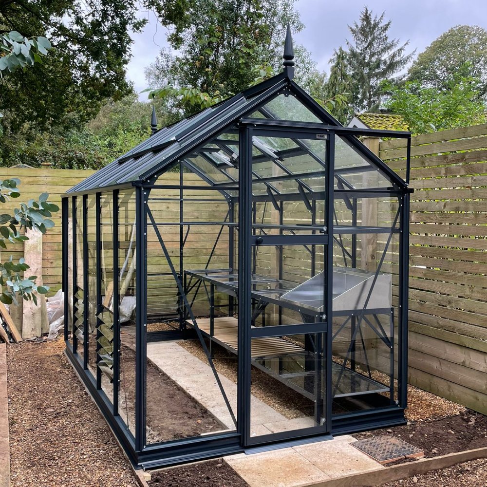 A modern glass Rhino Greenhouse stands with a sturdy black frame, featuring shelves inside. It is placed on a gravel path, surrounded by wooden fencing and lush greenery.