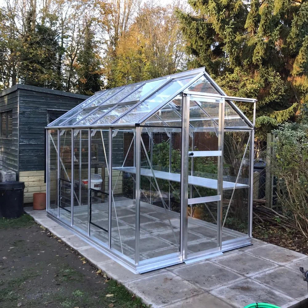 A glass and metal Rhino Greenhouse stands on a paved area, adjacent to a wooden shed, surrounded by lush trees and shrubs in a garden setting.