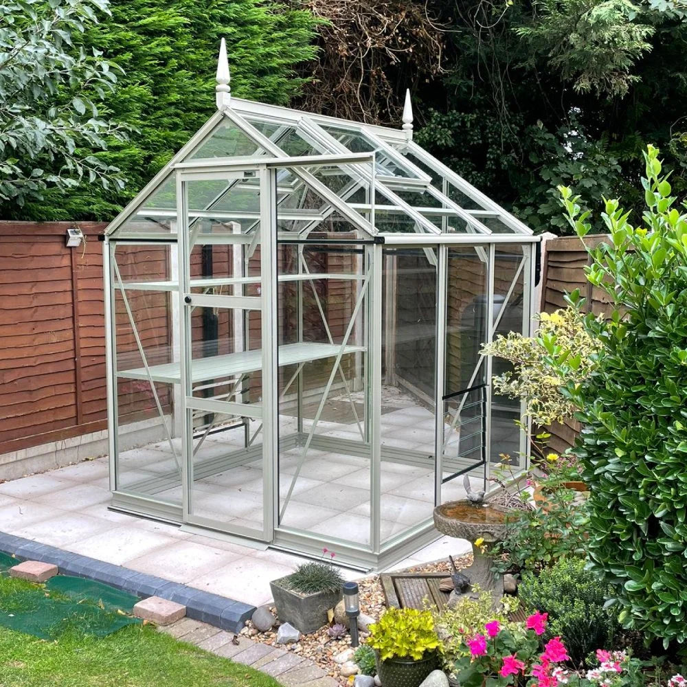 A glass Rhino Greenhouse stands on a paved patio, surrounded by lush greenery and a wooden fence, with potted plants and flowers nearby, enhancing the garden setting.