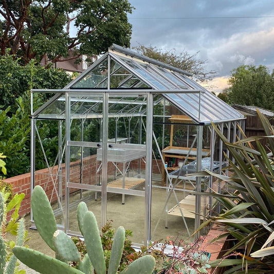 A clear glass and metal-framed Rhino Greenhouse stands in a garden, surrounded by lush greenery and cacti. Inside, potting benches and shelves are visible, ready for use.