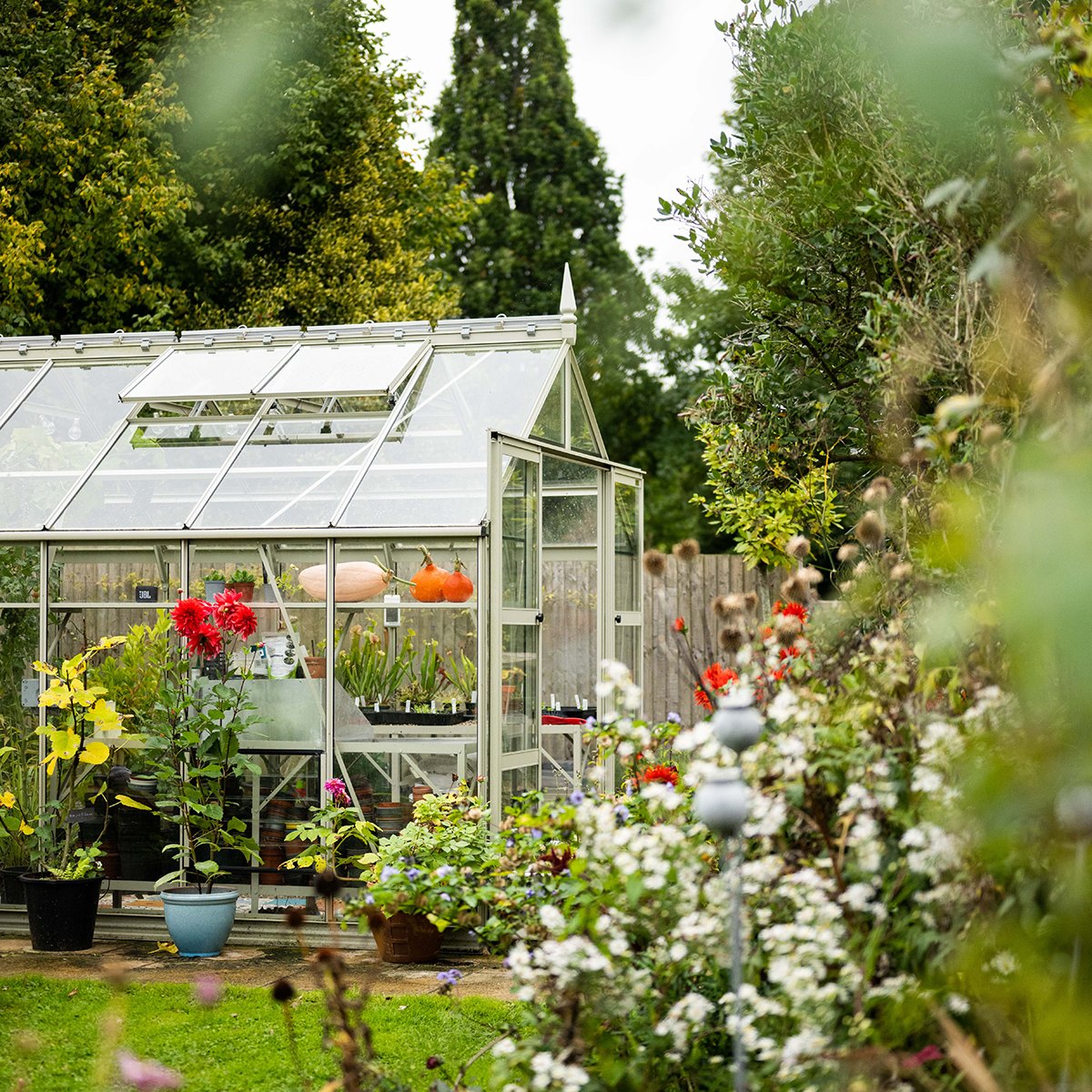 8x16 Rhino Premium surrounded by greenery