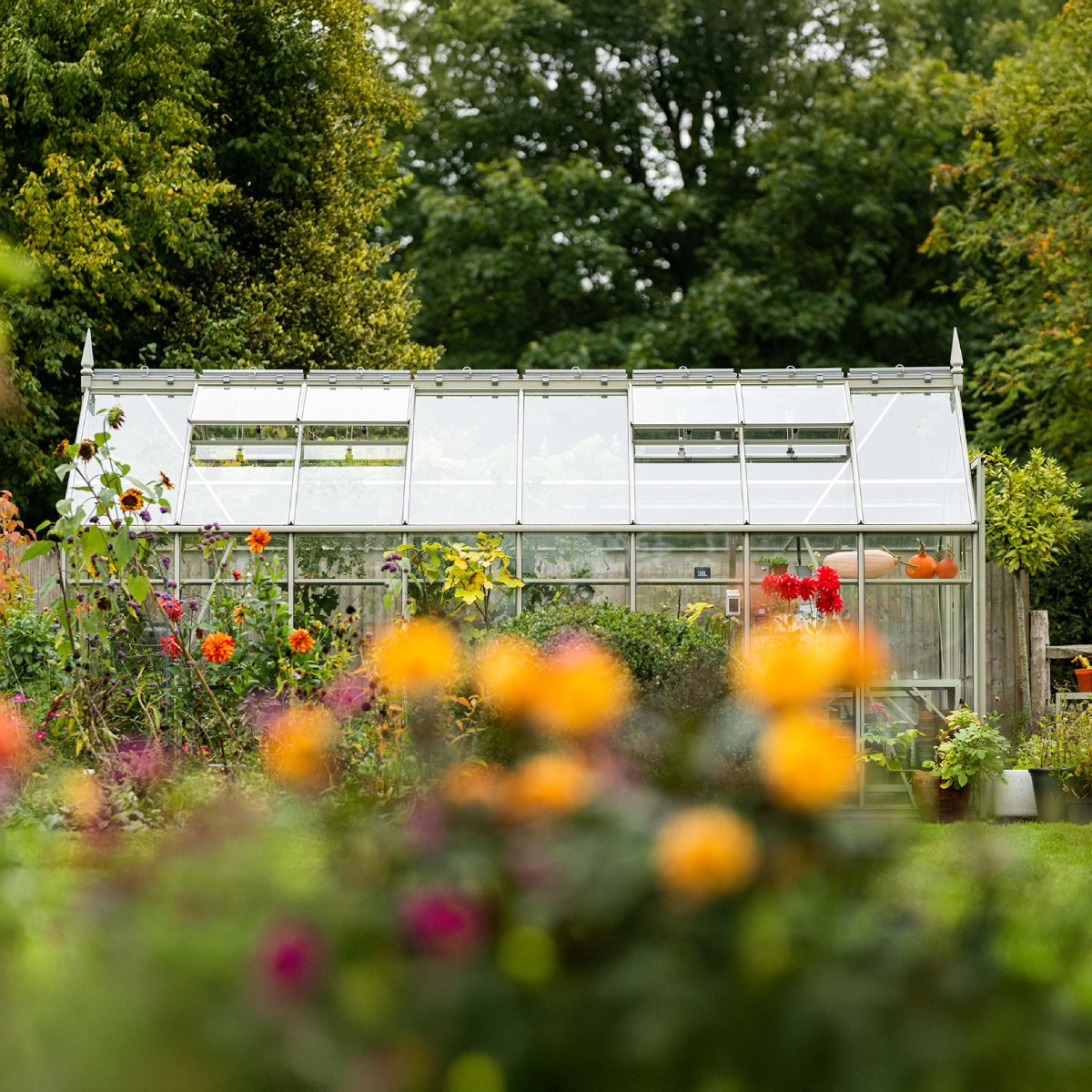 8x16 Rhino Premium surrounded by greenery