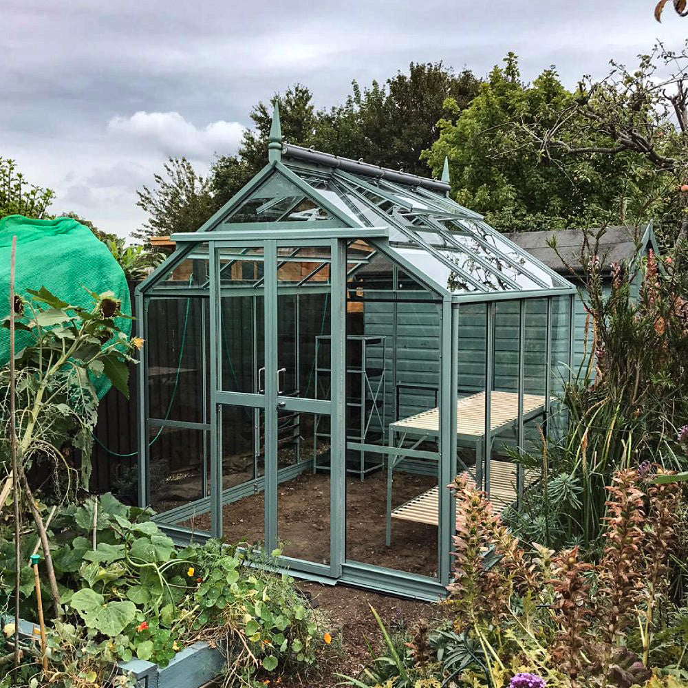 A green metal Rhino Greenhouse with large glass panels stands in a garden. Inside, wooden shelves are visible. Surrounding it are various plants and greenery under an overcast sky.