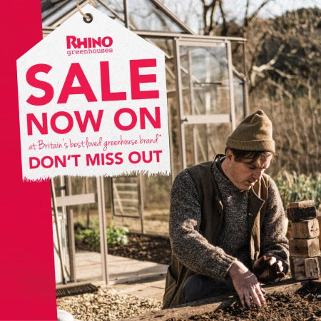 Rhino January Sale Graphic