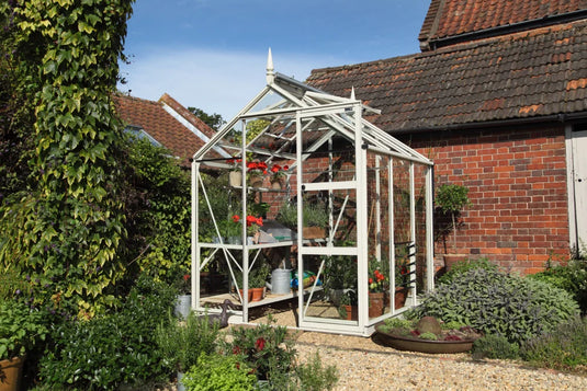 A white-framed Rhino Greenhouse houses potted plants, surrounded by lush greenery and a red brick building. Sunlight highlights the scene, with gardening tools and other plants displayed outside.