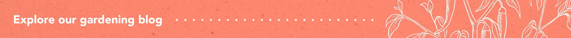 Mega Menu Footer Image