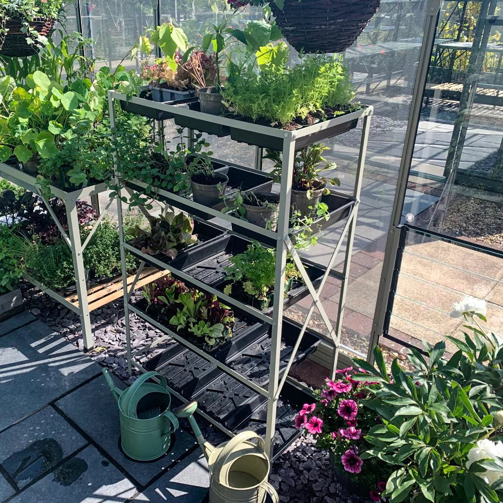 Metal shelves hold potted plants and seedlings in a Rhino Greenhouse. Nearby, green watering cans rest on stone tiles, surrounded by vibrant flowers and sunlight filtering through glass walls.