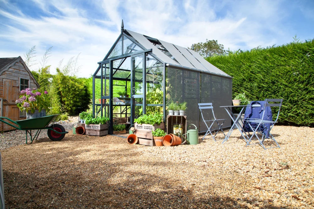 A glass Rhino Greenhouse houses plants; crates with RHINO NORFOLK labeled on them surround it. Nearby, blue patio furniture and gardening tools rest on a gravel surface, bordered by greenery.