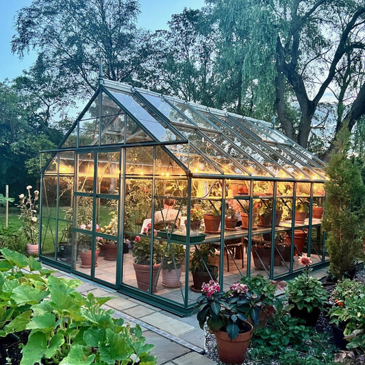 A Rhino Greenhouse filled with potted plants is illuminated warmly inside a lush garden. A person tends to the plants, surrounded by mature trees and a clear evening sky.