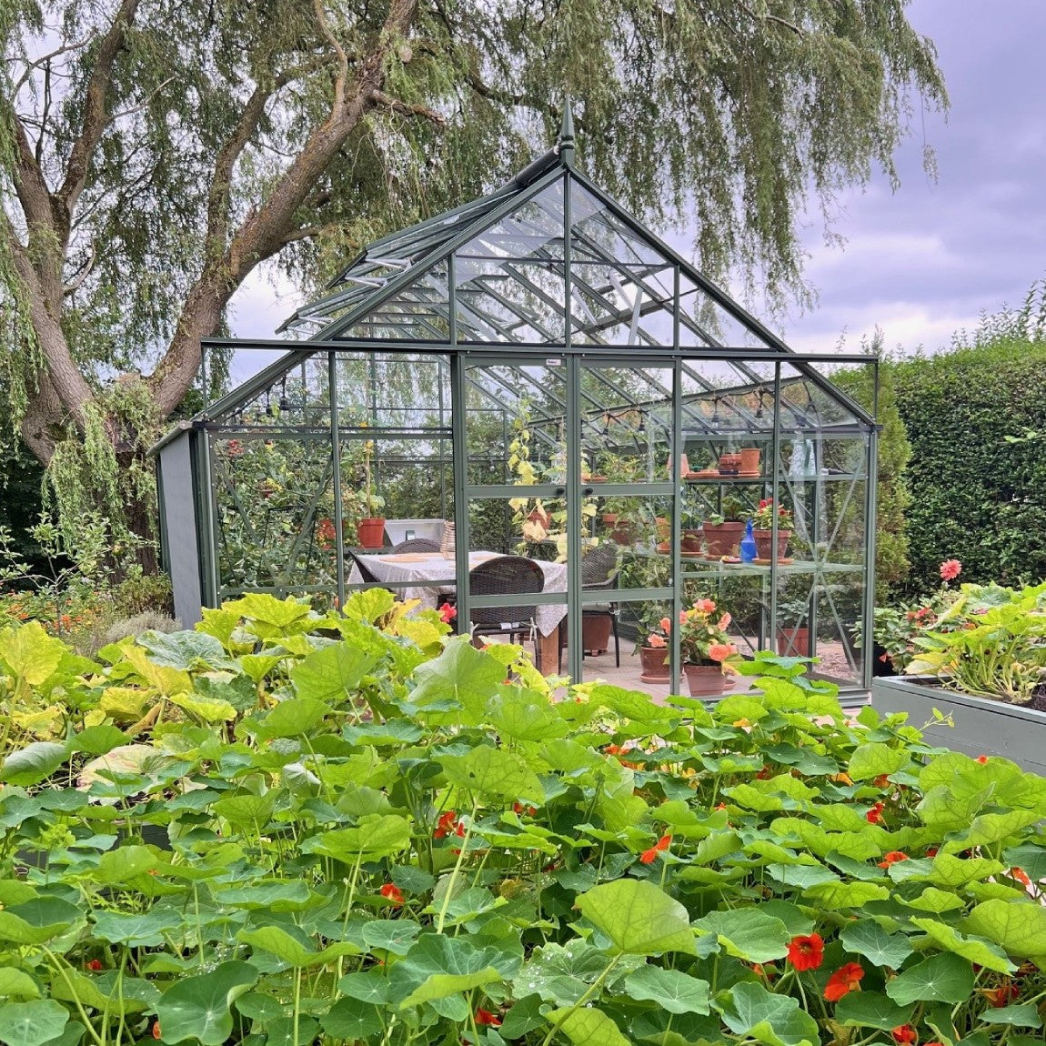 A glass Rhino Greenhouse stands amidst lush greenery, housing plants and a table with chairs. It's set near a large tree under a cloudy sky, surrounded by thriving garden beds.
