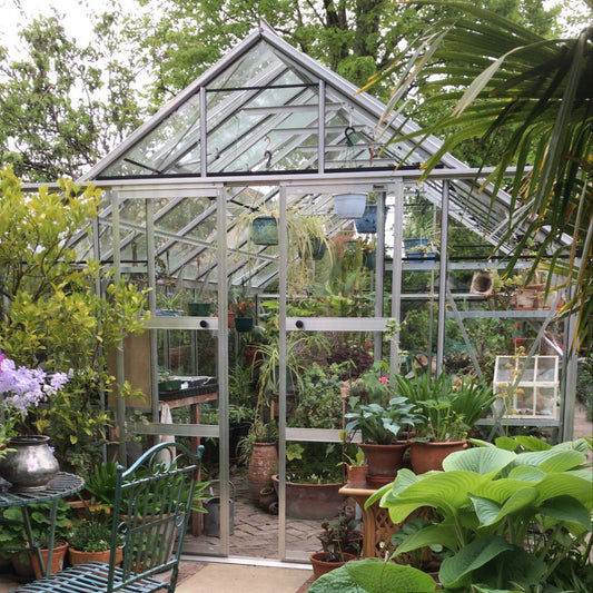 A glass Rhino Greenhouse filled with various potted plants and hanging baskets under a metal frame. It is surrounded by lush greenery and garden furniture on a paved surface.