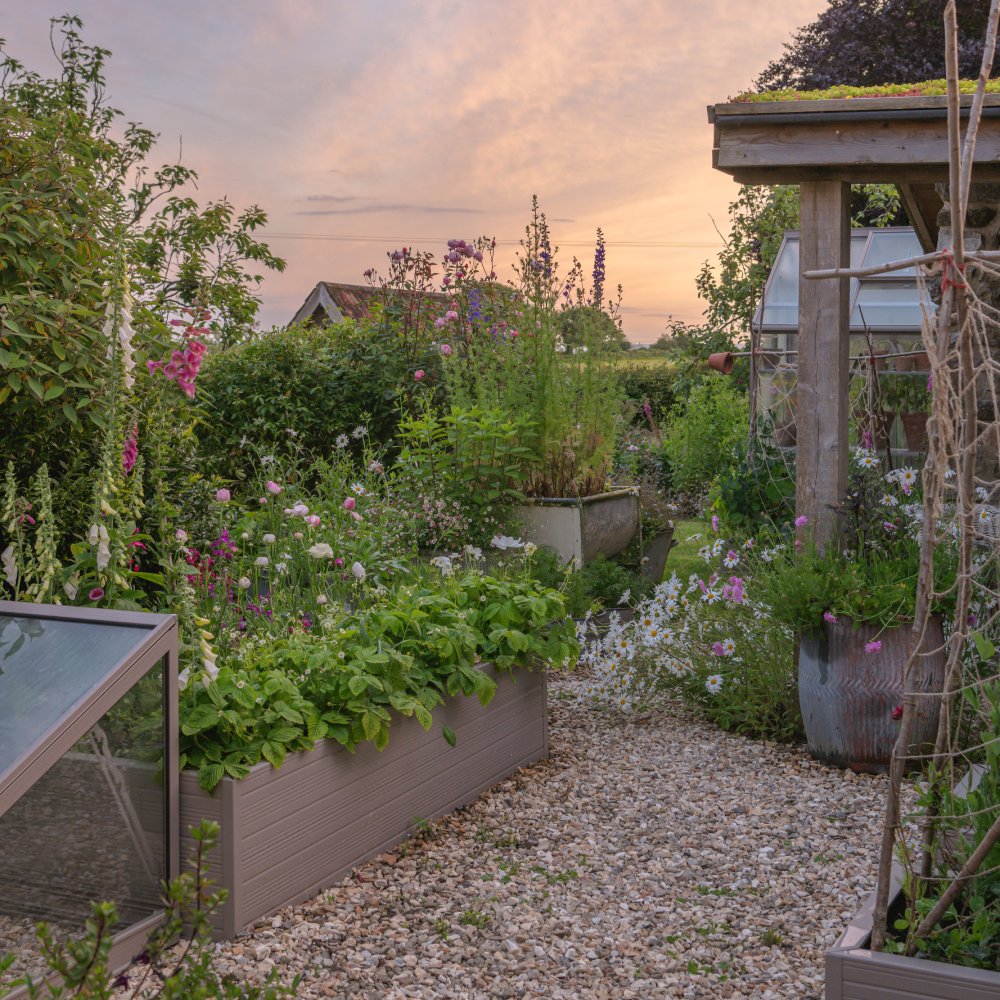 Raised flower beds filled with lush greenery and colorful blossoms line a gravel path, leading to a wooden garden structure amidst a vibrant, sunset-lit garden setting.