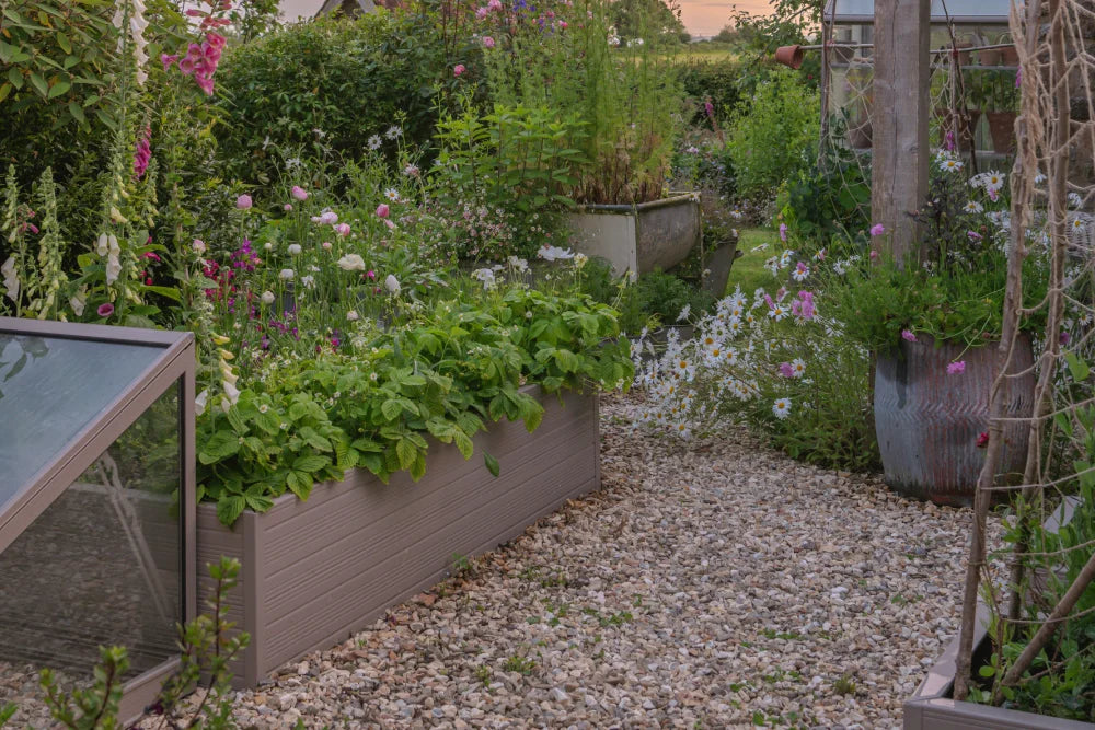 Gravel path meanders through lush garden beds, overflowing with vibrant flowers and foliage. Wooden planters and a small glass-topped structure are nestled amidst the greenery, surrounded by thriving plants.