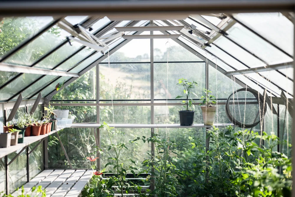 Rhino Greenhouse shelters potted plants on shelves and floor; sunlight filters through glass panels, creating a bright, lush environment. The exterior shows greenery and rolling hills in the background.