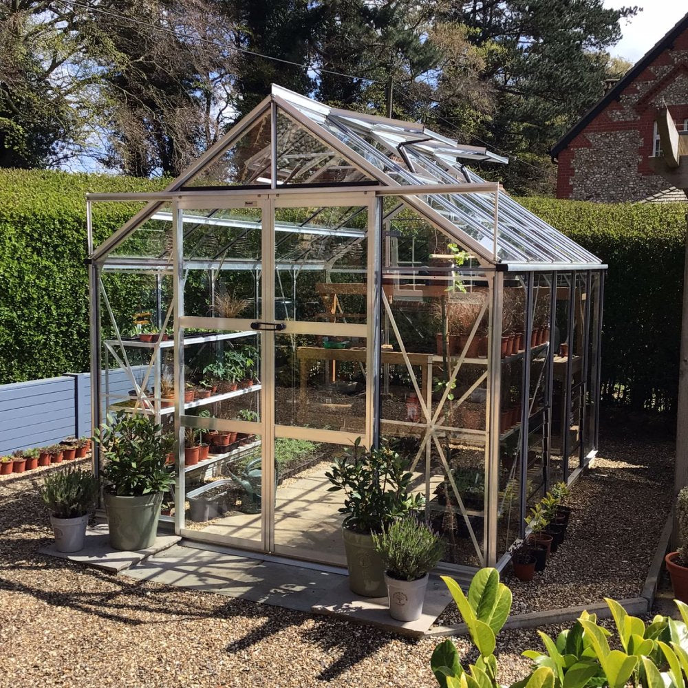 A glass Rhino Greenhouse stands in a gravel garden, filled with potted plants and wooden shelves, surrounded by vibrant hedges and trees under a clear sky.
