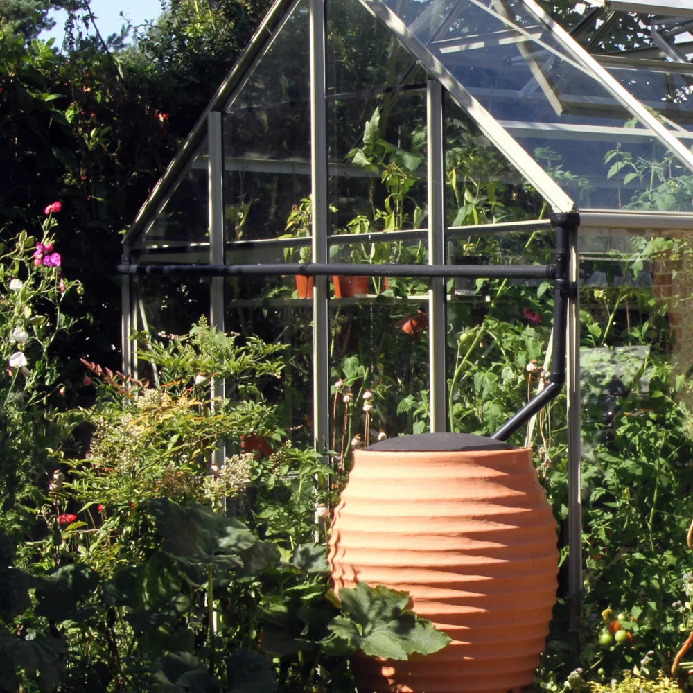 Rhino Greenhouse surrounded by lush plants, with a terracotta water barrel in front, nestled in a garden setting. Sunlight filters through the glass, highlighting greenery inside.