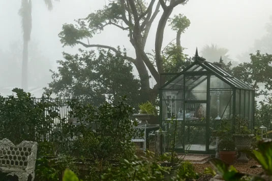 A glass Rhino Greenhouse stands among lush greenery and garden furniture, enveloped in a misty atmosphere with tall trees in the background, creating a tranquil garden setting.