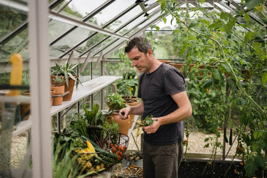 A person tends to plants inside a Rhino Greenhouse, surrounded by lush green foliage and potted plants on shelves, creating a serene gardening environment.