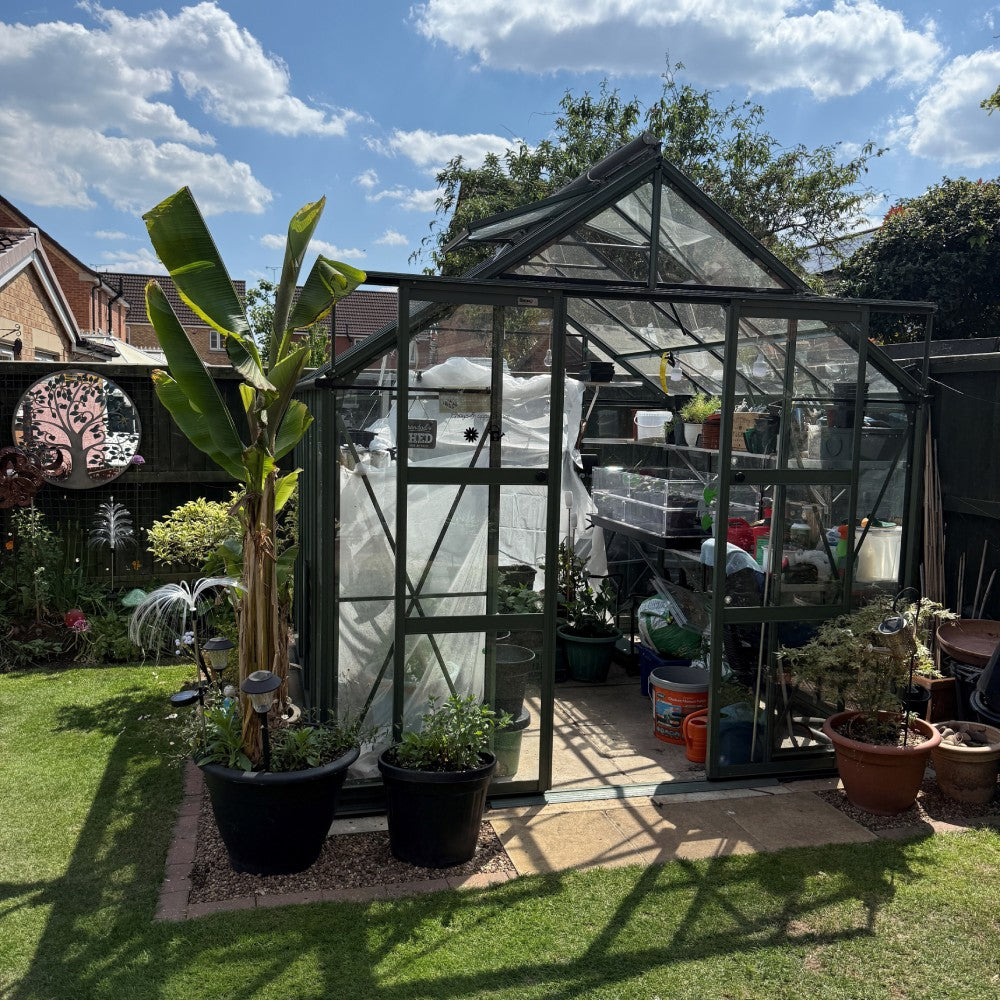 A glass Rhino Greenhouse filled with plants and gardening supplies stands in a sunny garden, surrounded by potted plants and a wooden fence, under a partly cloudy sky.