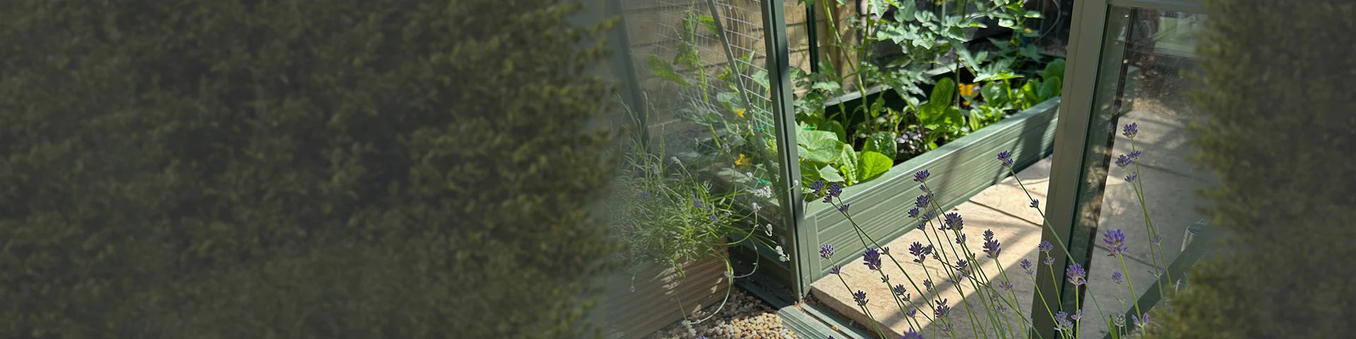Rhino Greenhouse plants thrive inside a glass enclosure surrounded by lush foliage. Lavender blooms adorn the foreground, and sunlight filters through the structure, creating a vibrant, serene garden scene.