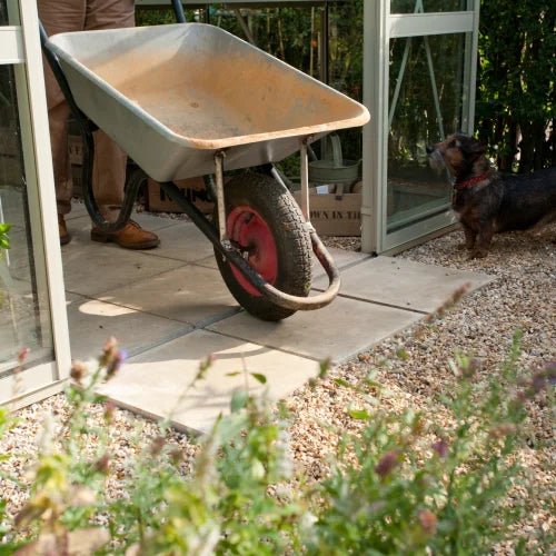 A wheelbarrow is being pushed by a person through a Rhino Greenhouse entrance, with a small dog observing nearby. The scene is surrounded by gravel and greenery.