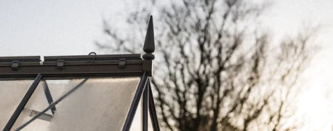 A Rhino Greenhouse roof corner with a pointed finial sits under a pale sky; bare trees form the background, suggesting a winter or early spring setting.