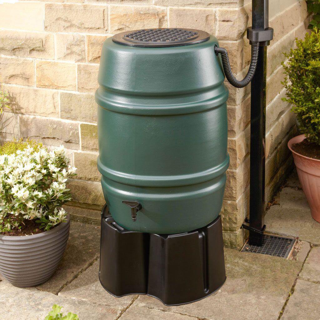 A green rain barrel with a spigot is positioned on a black stand, collecting water through a hose connected to a downspout. It's placed on a stone patio near garden plants.