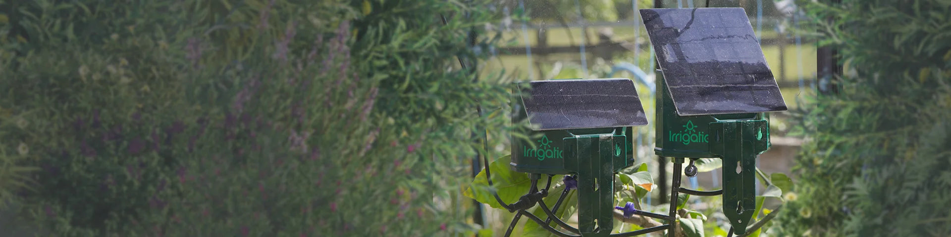 Solar-powered irrigation devices with panels are set up amidst lush garden foliage. The devices are labeled Irrigatia, and are surrounded by green leaves and plants in a natural outdoor setting.