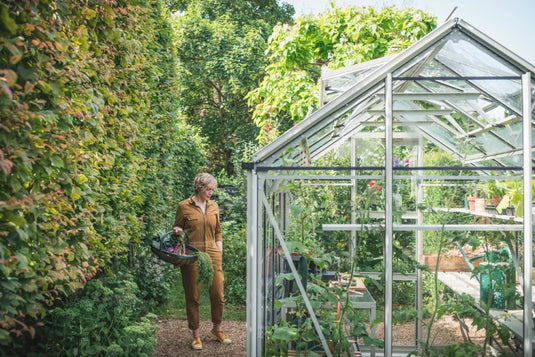 A person in a brown outfit carries a basket of vegetables, walking beside a glass Rhino Greenhouse surrounded by lush plants and a gravel path in a garden setting.