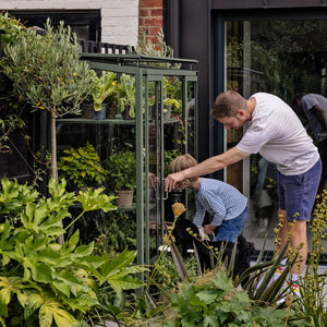 Rhino Patio Greenhouse 2x4