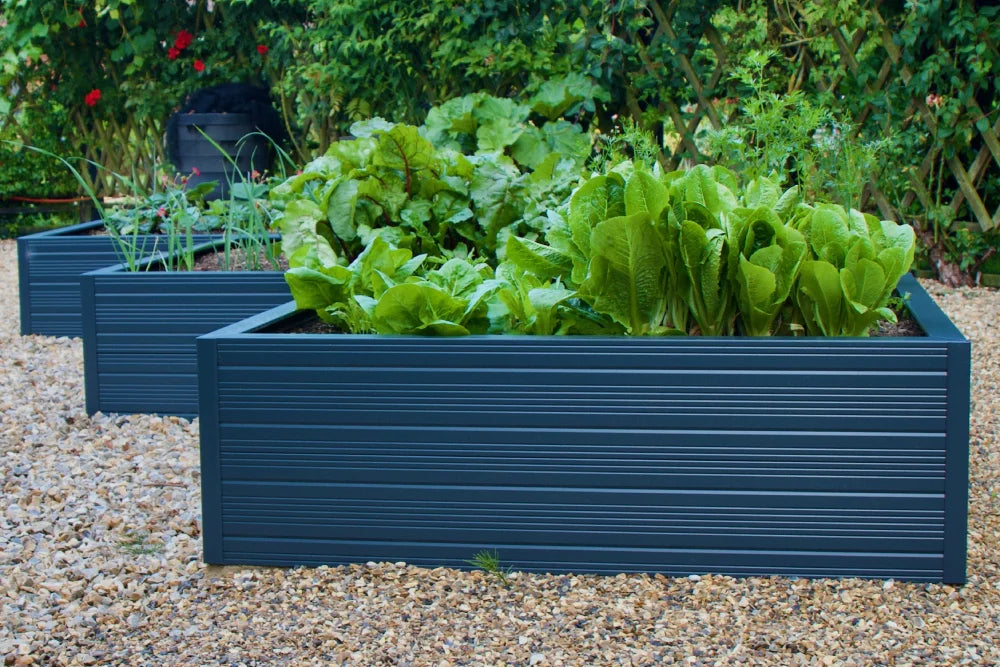Rhino metal raised garden beds, filled with various green leafy plants, rest on a gravel surface surrounded by lush green foliage in a garden setting.