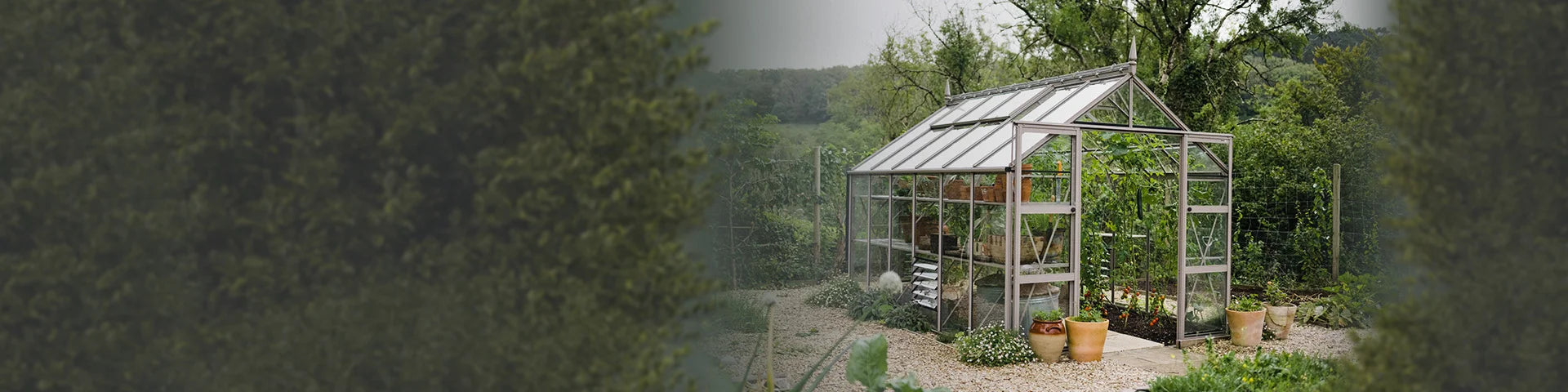 A Rhino Greenhouse stands with potted plants outside, surrounded by lush greenery and trees in a garden setting. The glass structure reflects light, highlighting the vibrant plant life inside.