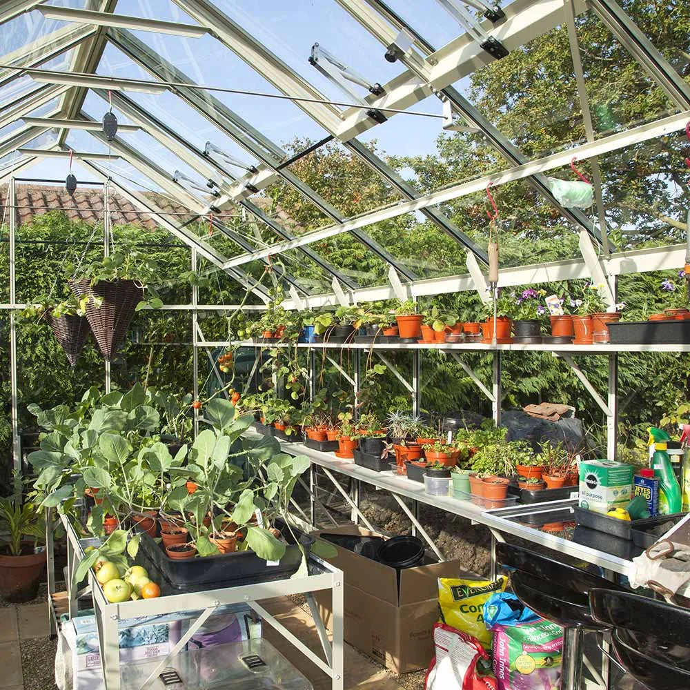 Rhino Greenhouse shelves display pots and gardening tools under a clear, slanted roof. Sunlight illuminates several rows of plants, surrounded by lush foliage outside. Hanging baskets add vertical interest.