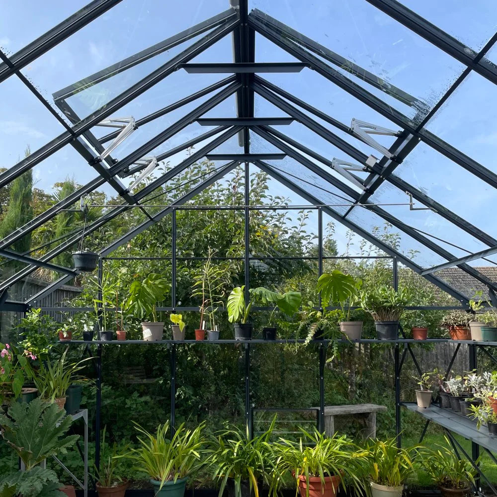 Rhino Greenhouse with various potted plants on shelves, set in a garden surrounded by trees and shrubs, under a clear blue sky.