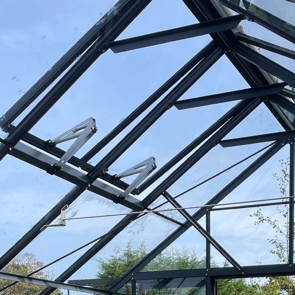 Steel-framed Rhino Greenhouse roof with open vents; viewed against a blue sky. Surrounding are green trees and shrubs, indicating an outdoor garden setting.