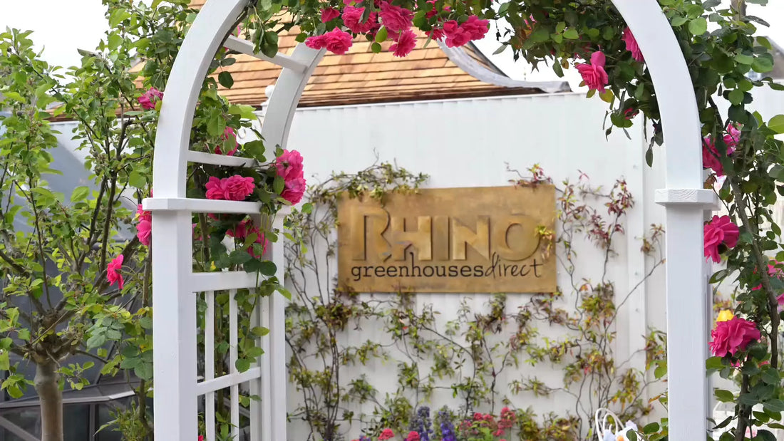 Rhino at Chelsea Flower Show 2025