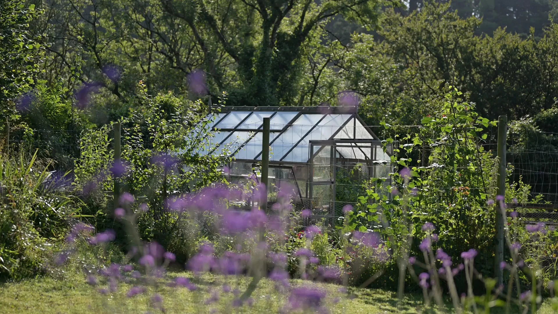 A Rhino Greenhouse sits among lush greenery with its glass panels reflecting sunlight. Purple flowers blur in the foreground, while tall trees create a dense backdrop.
