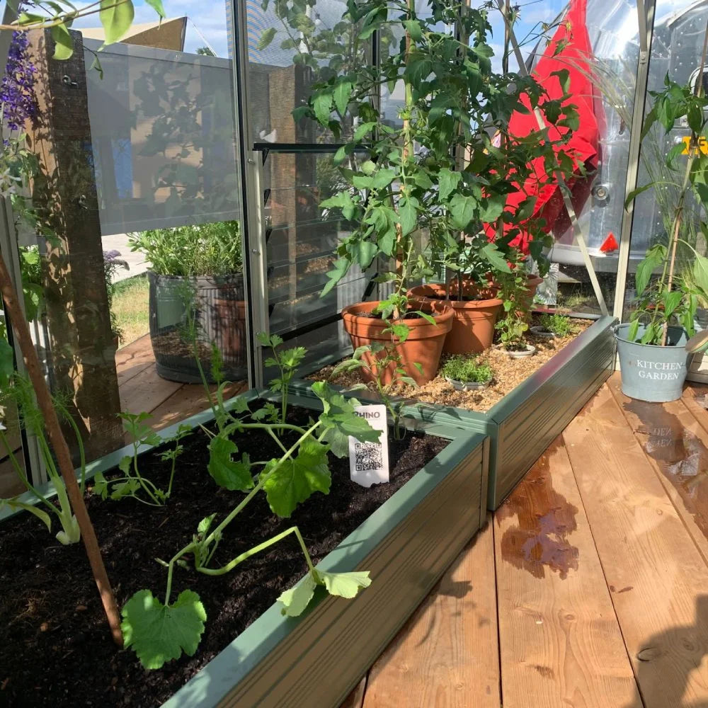 Plants in pots and soil beds grow inside a Rhino Greenhouse on a wooden floor. Sunlight illuminates the green foliage.
