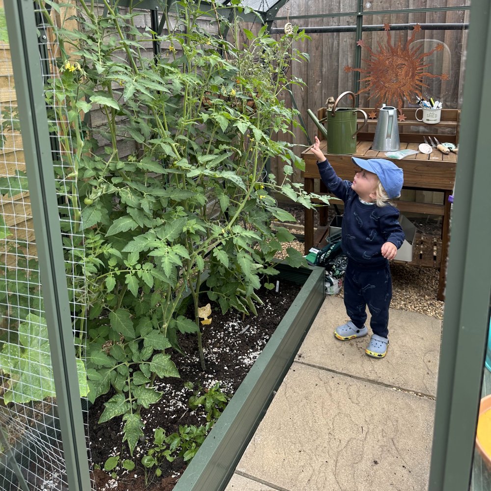 Child pointing at tall tomato plants in a Rhino Greenhouse, surrounded by gardening tools and decorations on a wooden table. Paved stone flooring completes the cozy, plant-filled environment.