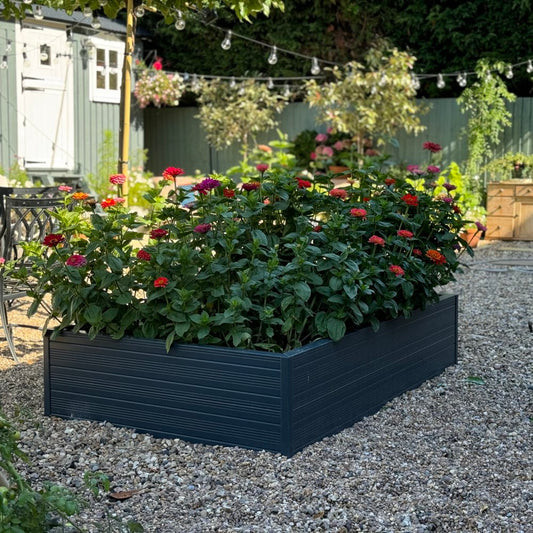 Flowering plants in a dark rectangular planter flourish in a gravel garden, surrounded by outdoor furniture and string lights, with a shed and greenery in the background.