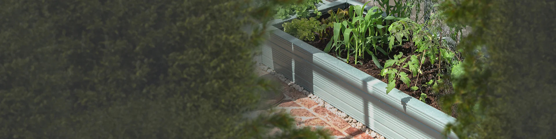 A Rhino metal raised garden bed is filled with various green plants, surrounded by leafy greenery and a brick pathway on one side.