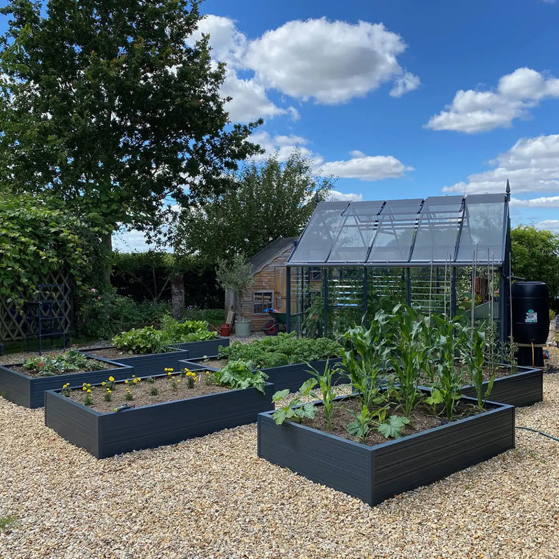 Raised garden beds hold various plants, situated in a gravel-covered yard. A glass Rhino Greenhouse stands nearby under a bright blue sky with fluffy clouds, surrounded by trees and shrubs.